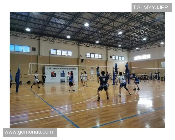 上海排球队在杯赛中的状态分析与表现评估 上海排球队在杯赛中的状态分析与表现评估