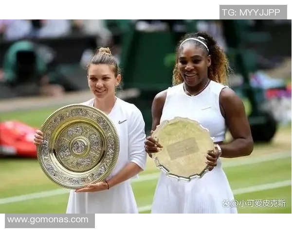 北京网球队创历史新高耐力排名引发广泛关注与热议