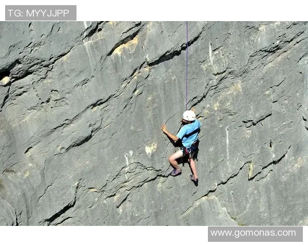 武汉攀岩队的意识觉醒与团队精神探讨聚焦攀岩运动的未来发展