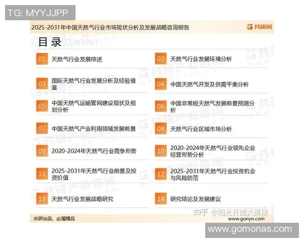 灵活性分析：液化天然气在市场中的表现与趋势探讨