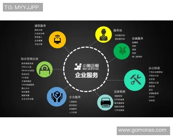 英雄联盟战队WE团队协作解析与战术探讨的深度剖析