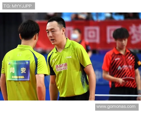 李娜的乒乓球人生深度对话探讨她的成长与成就之路