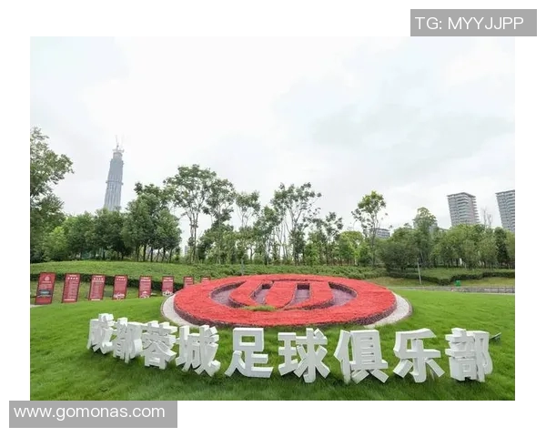 成都足球队边路渗透战术分析与效果评估探讨