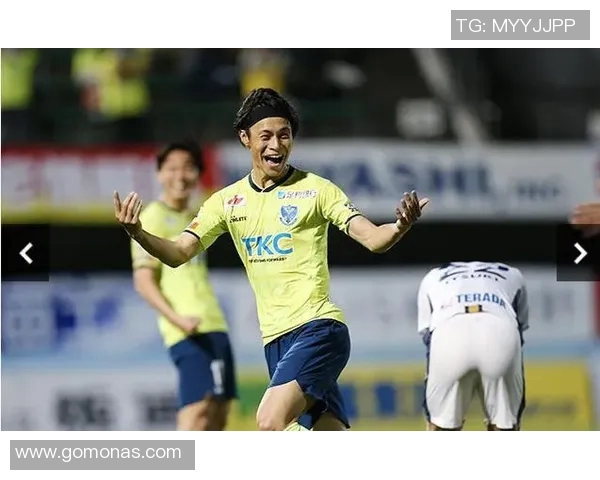 福冈黄蜂对阵金泽精彩直播全程回顾与赛后分析