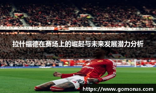 米乐YY易游m6