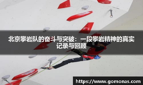 米乐mile体育
